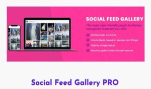 social-feed-gallery-pro free