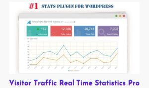 visitor-traffic-real-time-statistics-pro (1)